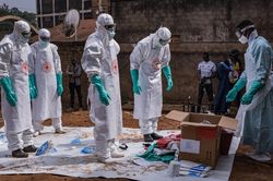 WHO thúc đẩy thử nghiệm vaccine và thuốc điều trị Ebola giữa lúc dịch bùng phát tại châu Phi