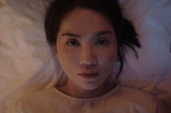 Phim Ngọc Trinh ghi nhận doanh thu 0 đồng