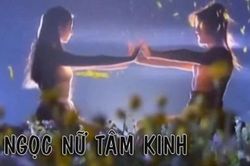 Môn võ kỳ lạ nhất tiểu thuyết Kim Dung