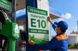 Sử dụng xăng E10 từ 1/6: Sẵn sàng kịch bản kỹ thuật và bảo vệ quyền lợi người tiêu dùng