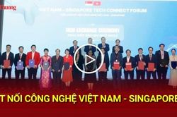 Kết nối công nghệ Việt Nam - Singapore