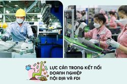 FDI thế hệ mới thu hút dòng vốn chất lượng cao, hợp lực các khu vực kinh tế