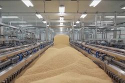 Ấn Độ trở thành nước sản xuất gạo lớn nhất thế giới