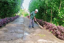 Đảng viên đi trước, việc khó có dân đồng lòng