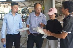 Đưa Nghị quyết 57-NQ/TW đến gần với doanh nghiệp