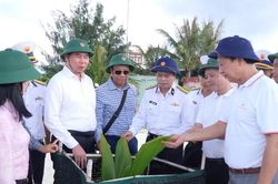 Từ Tiên Nữ đến Núi Le C: Khát vọng xanh giữa trùng khơi