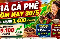 Giá cà phê hôm nay 30/5 tăng vọt, vượt mốc 89.000 đồng/kg