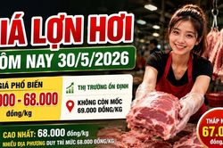 Giá lợn hơi hôm nay 30/5: Cả nước phổ biến mức 67.000–68.000 đồng/kg