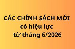 Hàng loạt chính sách, quy định mới có hiệu lực từ tháng 6/2026