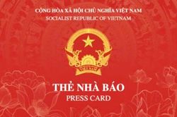 Thẻ nhà báo mới hiển thị thông tin gì khi quét mã QR?