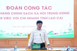 Tổng Giám đốc Ngân hàng CSXH Trung ương làm việc với Chi nhánh Ngân hàng CSXH tỉnh Lào Cai