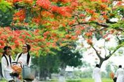 Dấu xưa mười tám