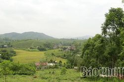 'Mỏ vàng' trên đất rừng xóm Lối