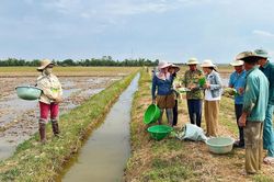 Vì hệ sinh thái đồng ruộng