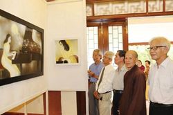 Hai cây cọ già và ước mơ xanh