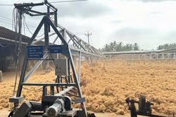 Khuyến công quốc gia: Đề án điểm cú hích cho chuỗi giá trị dừa Vĩnh Long