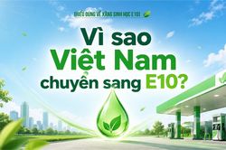 Vì sao Việt Nam chuyển sang xăng sinh học E10?
