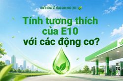Tính tương thích của E10 với các động cơ?