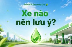 Xe nào nên lưu ý?
