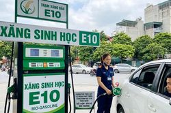 Triển khai xăng E10 trên toàn quốc: Các hãng xe được đề nghị đồng hành