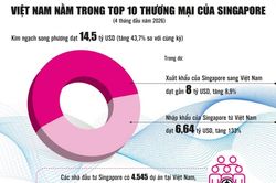 Việt Nam thịnh vượng và mạnh mẽ sẽ mang lại lợi ích to lớn cho Singapore