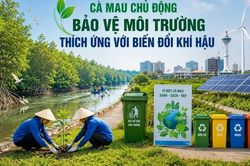 Cà Mau tích cực bảo vệ môi trường, nâng cao năng lực thích ứng biến đổi khí hậu