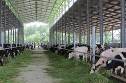 Thúc đẩy ứng dụng công nghệ số để xanh hóa chuỗi giá trị nông sản