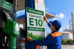 Bộ Công Thương yêu cầu hãng xe đánh giá tương thích với xăng E10