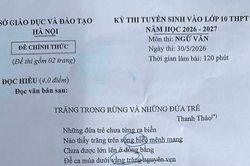 Thơ của Thanh Thảo vào đề Ngữ văn thi lớp 10 Hà Nội năm 2026
