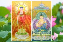 Đừng để sự hoang mang khiến mình sợ tu