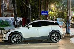 Không nên dừng, đỗ xe trên vạch kẻ đường dành cho người đi bộ