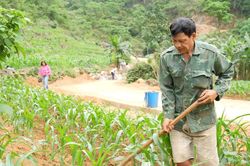 Một người hiến đất, cả bản có đường