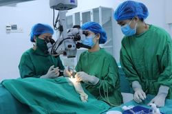 Mổ phẫu thuật Phaco điểu trị đục thể tinh thể cho 28 trường hợp
