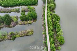 Ý Đảng hòa lòng dân ở vùng quê Tân Ân