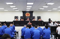 Lợi dụng hình ảnh 'Huấn Hoa Hồng' để lừa vay vốn online, nhóm bị cáo lĩnh án tới 19 năm tù