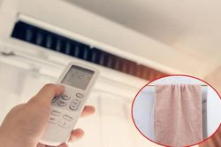 Bật điều hòa cả ngày không còn khô da, khô mũi nếu trong phòng có 3 thứ này
