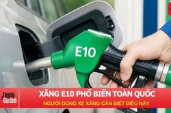 Xăng E10 phổ biến toàn quốc: Người dùng xe xăng cần biết điều này