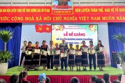Độc đáo trường vùng cao khen thưởng học sinh giỏi bằng cây giống sâm Ngọc Linh