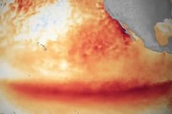 El Nino có thể gây mưa cực đoan trên toàn cầu
