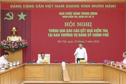 Bộ Chính trị quy định chức năng, nhiệm vụ, tổ chức bộ máy của Đảng ủy Chính phủ