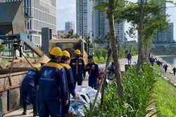 Cầu Giấy: Khẩn trương xử lý hiện tượng cá chết tại hồ công viên CV1