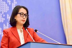 Việt Nam phản hồi việc Hoa Kỳ công bố điều tra liên quan đến bảo hộ và thực thi quyền sở hữu trí tuệ
