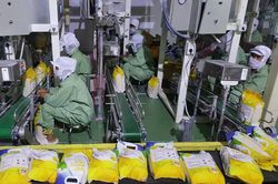 Công nghiệp chế biến, chế tạo - Phần 2: Bóc tách các mối liên kết dọc và ngang