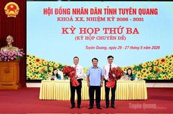 Phê chuẩn kết quả bầu chức vụ Phó Chủ tịch UBND tỉnh Tuyên Quang