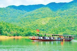 Cấm Sơn xanh hơn
