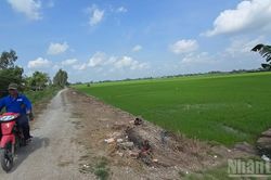 Xã Châu Phú từng bước hoàn thiện hạ tầng giao thông