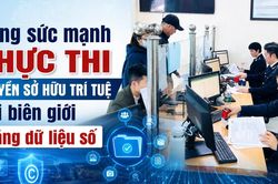 Tăng sức mạnh thực thi quyền sở hữu trí tuệ tại biên giới bằng dữ liệu số