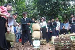 Sôi nổi ngày hội xoài Yên Châu năm 2026