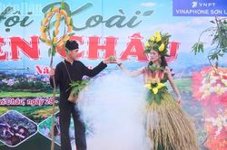Sôi nổi ngày hội xoài Yên Châu năm 2026