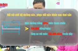 [Video] Trợ cấp thai sản tăng từ 1-7, cao nhất hơn 5 triệu đồng
